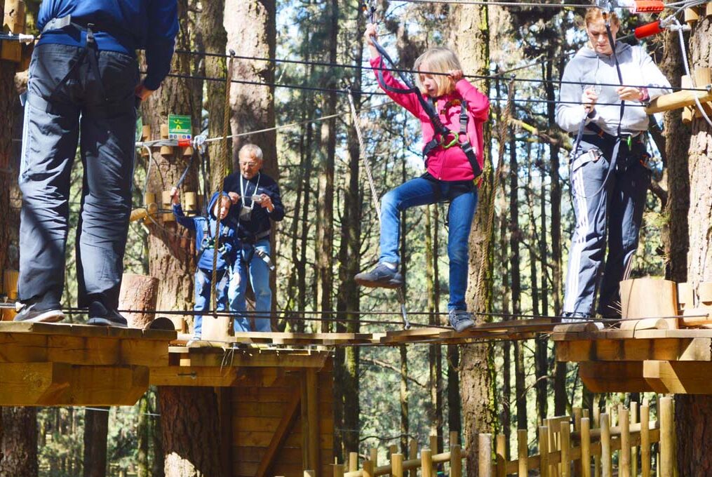 excursión forestal park