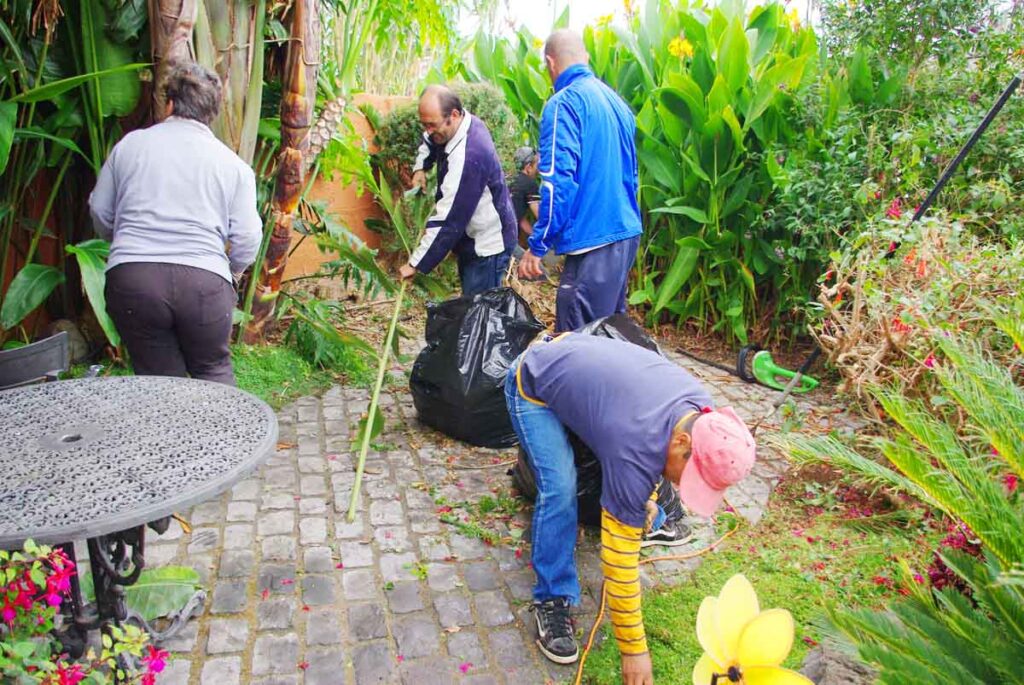 Al final  todos los alumnos recogen los residuos vegetales