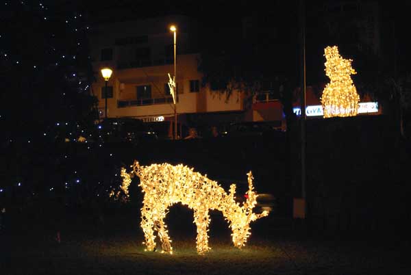 La iluminación navideña en San Miguel. durante la noche