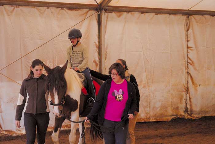 Dirigir al caballo para mejorar la confianza en si mismo. Acariciar al animal para fomentar  . . .