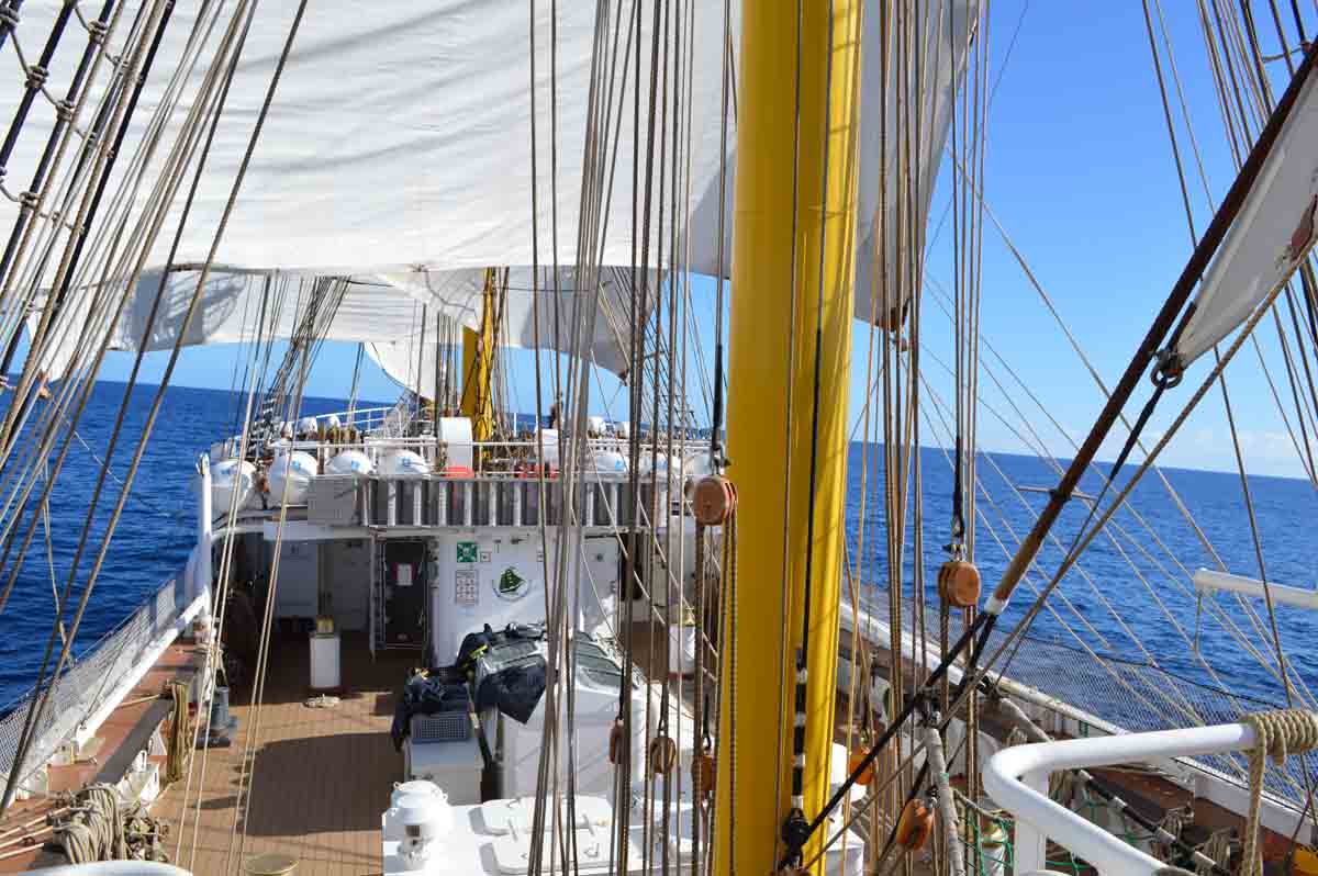 Vista desde la popa: el barco Alexander von Humboldt II