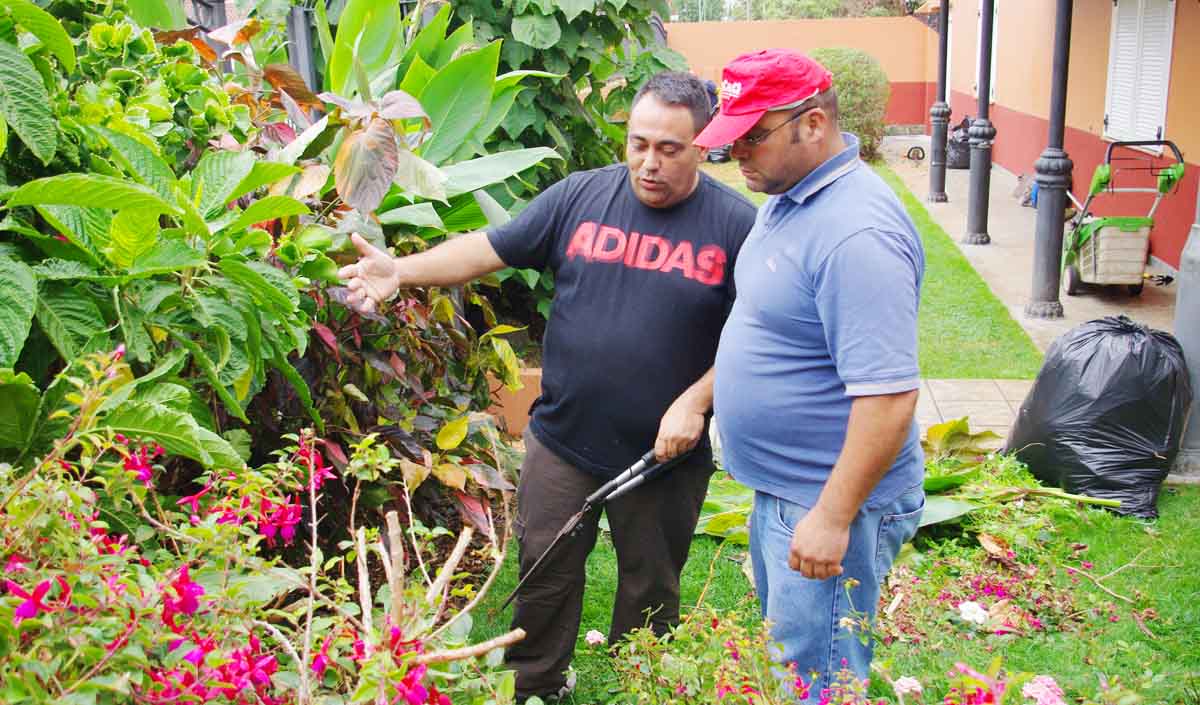 Entrelazados. Nicolás explica a Roque la remodelación de un rosal