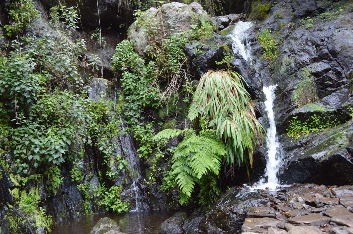 La cascada de la Presa de los tiles en La Gomera