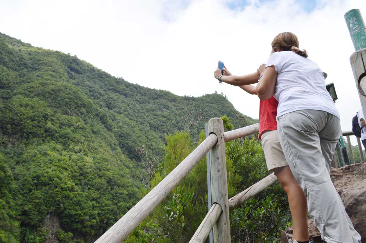 Mirador del bosque de los tilos