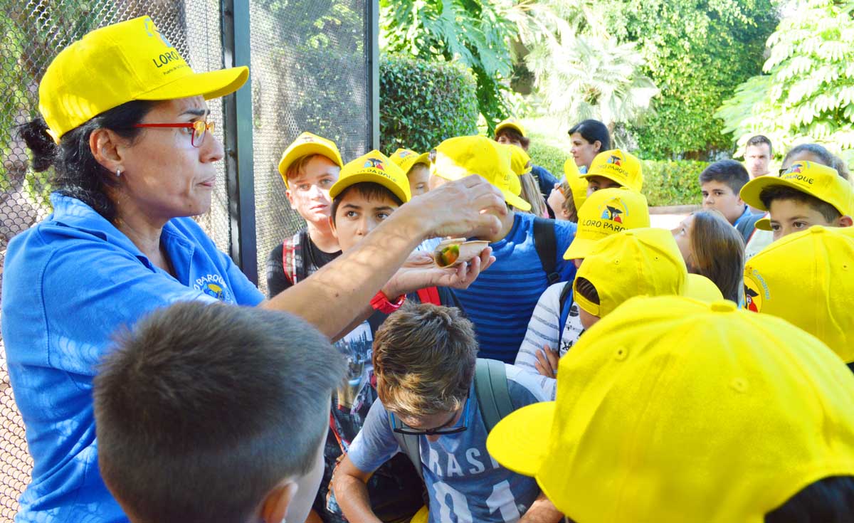 Un Taller de Enriquecimiento ambiental en Loro Parque