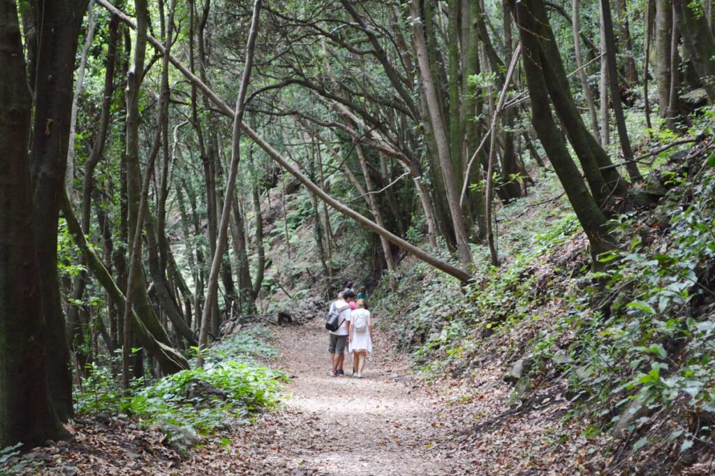 Dos senderistas caminando por el Bosque de los Tilos