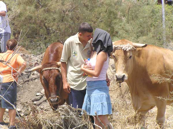 Una pareja disfruta la atmósfera del Arrastre del Ganado