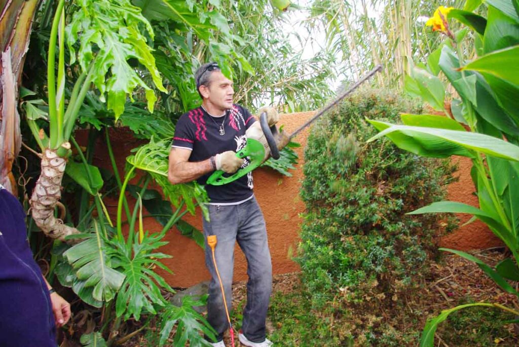 Entrelazados, Pedro realiza la remodelación del arbusto con la herramienta cortante