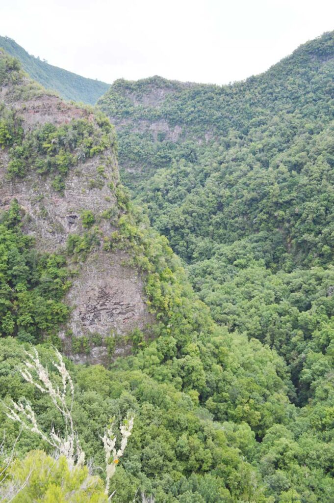 Las vistas desde el mirador en el Bosque de los Tilos