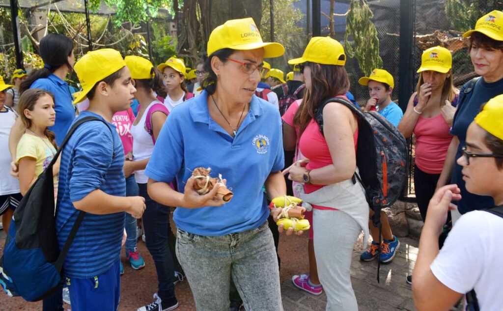 Ya todo está listo: la monitora y los alumnos se desplazan al recinto de los animales