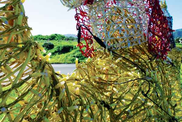 Los cuerpos luminosos de los Reyes Magos de La Laguna