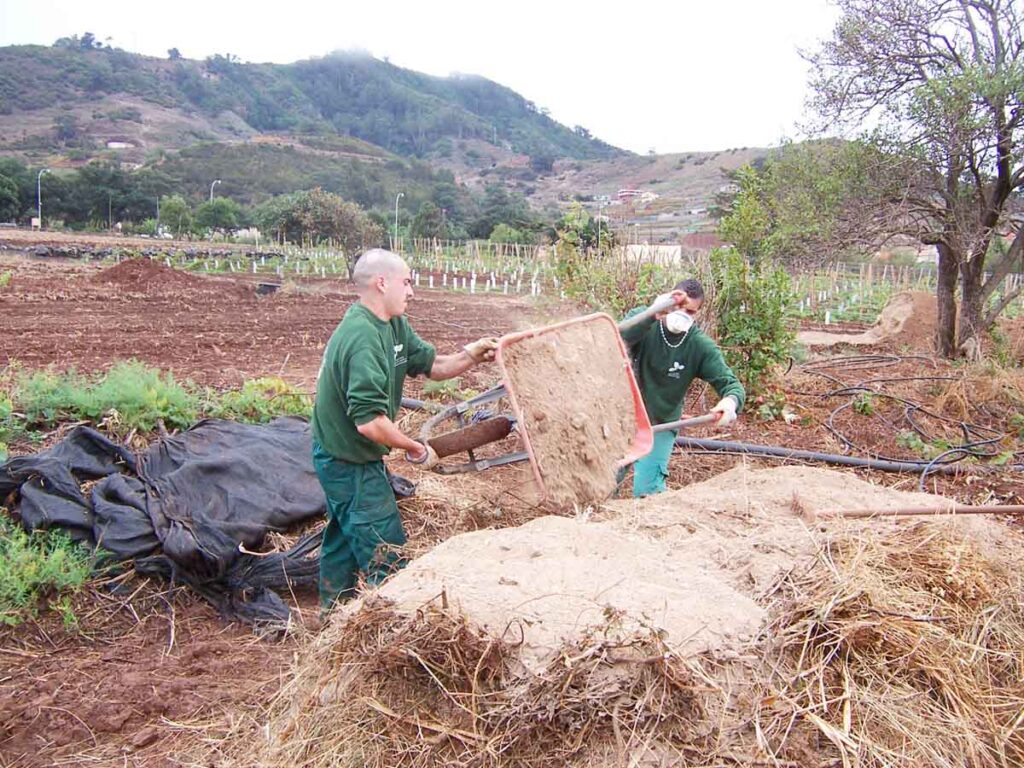 El compost sirve para el abono del terreno y los cultivos  