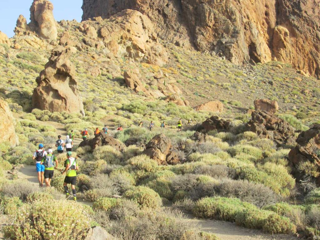 Tras haber pasado los Roques de García, los deportistas cruzan el retamar para llegar a la pista rocosa