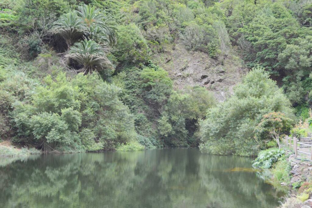 El idílico lago de la Presa de Los Tiles, rodeado de árboles y arbustos 