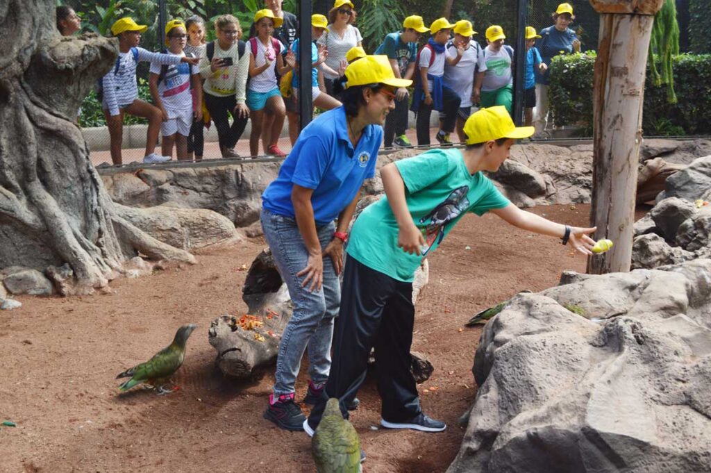 El alumno pone un paquete sorpresa en una roca del recinto 