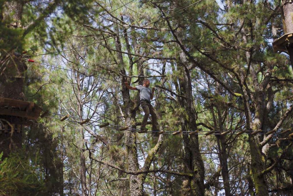 Forestal Park Tenerife: deambulando sobre un camino de listones en el aire 