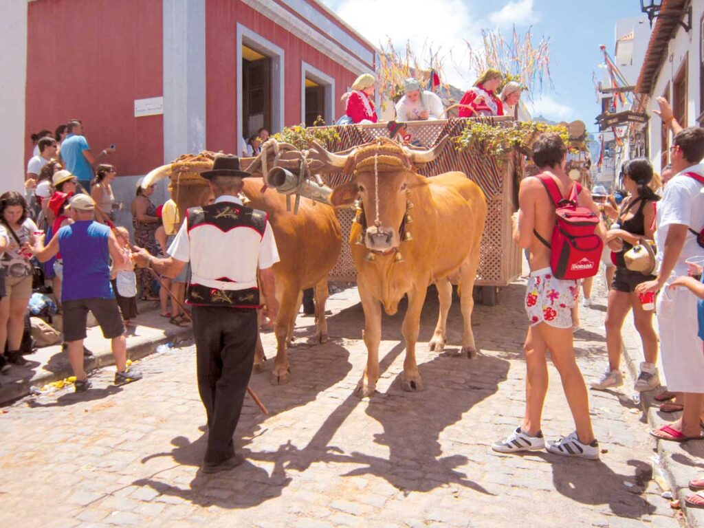 Muchos turistas acompañan las grandes fiestas populares de Canarias