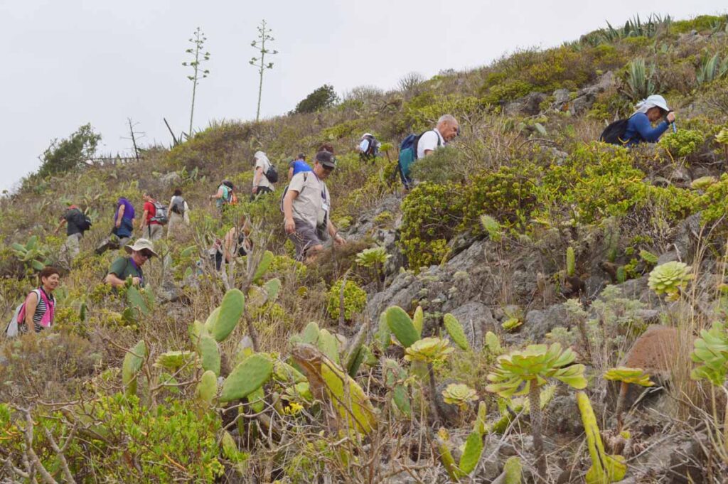 Subidas por estrechos caminos forman parte de la excursión 