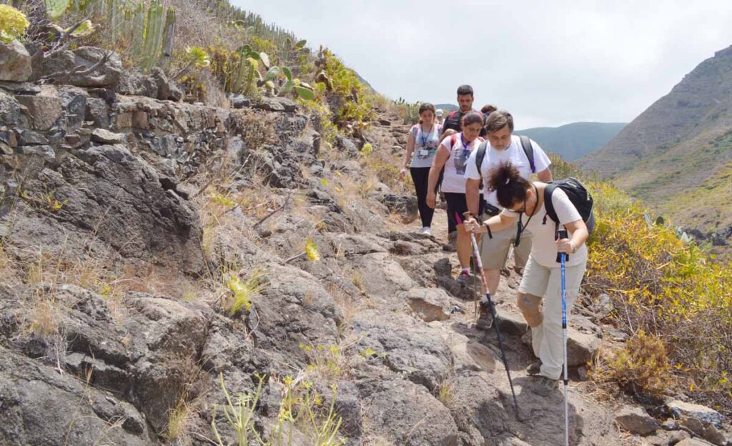 Para muchos, los bastones de trekking son una gran ayuda