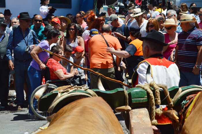 Protección civil despeja la vía, mientras . . .