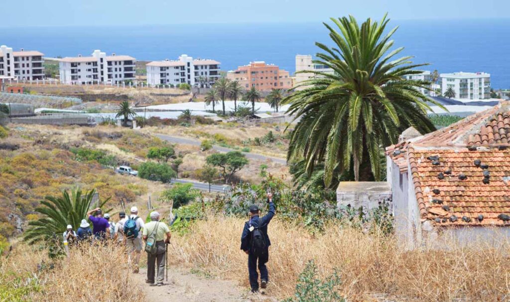 El tramo final pasa por las palmeras de una finca agrícola