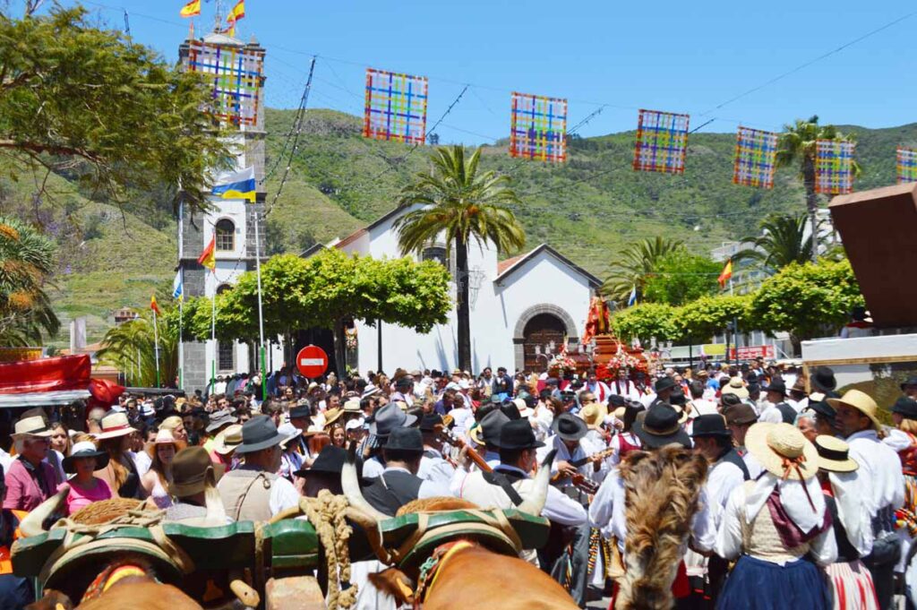 La carreta se acerca a la plaza de San Marcos, ubicada enfrente del Ayuntamiento de Tegueste 