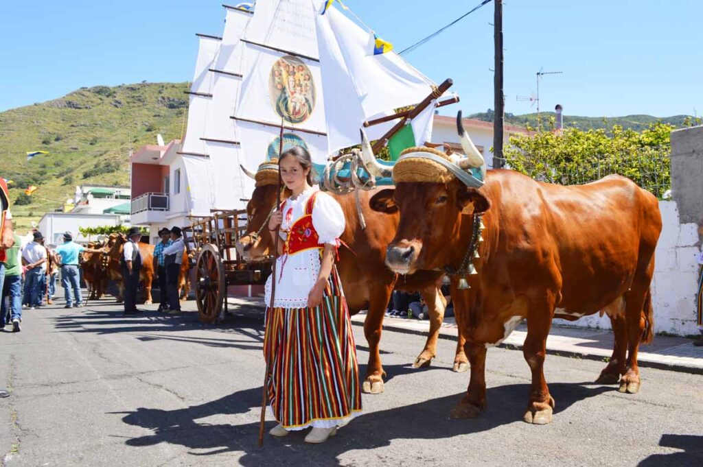 Todo ya está hecho. Los tripulantes se van de fiesta, los  guayeros llevan los bovinos al pasto