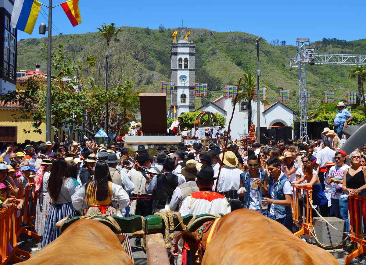 La Romería de Tegueste: la carreta pasa por la calle Prebendado Pacheco