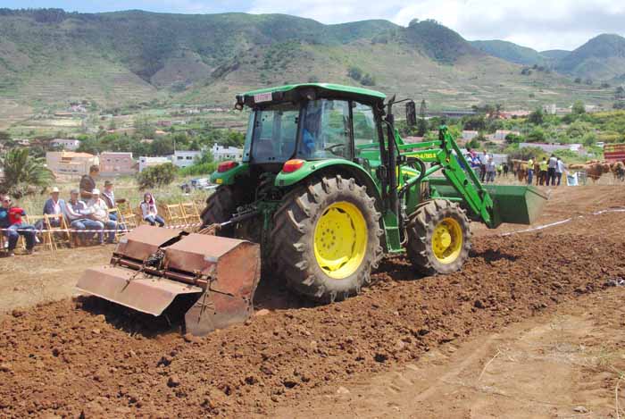 Las yuntas pasan por un campo arado