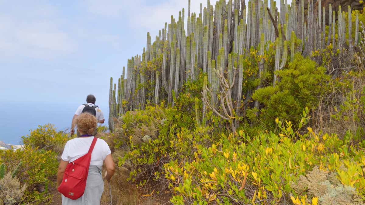 El sendero del barrio San Diego de La Laguna a Bajamar