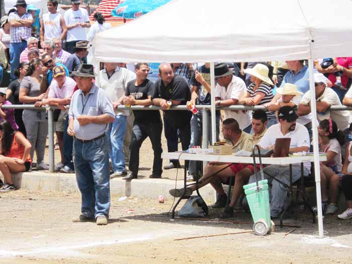 Seis árbitros supervisan el concurso