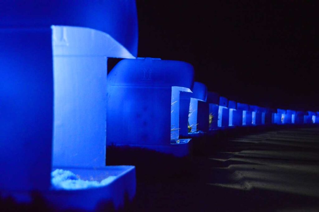 Una exposición en el centro cultural El Tanque de Santa Cruz de Tenerife 