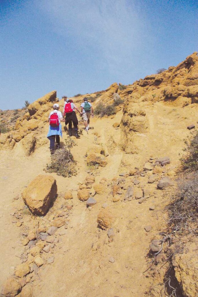 En Teno Alto, los caminos son escarpados y . . .