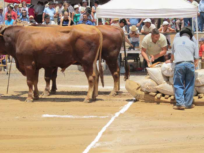 . . . y supervisar el peso de la carga