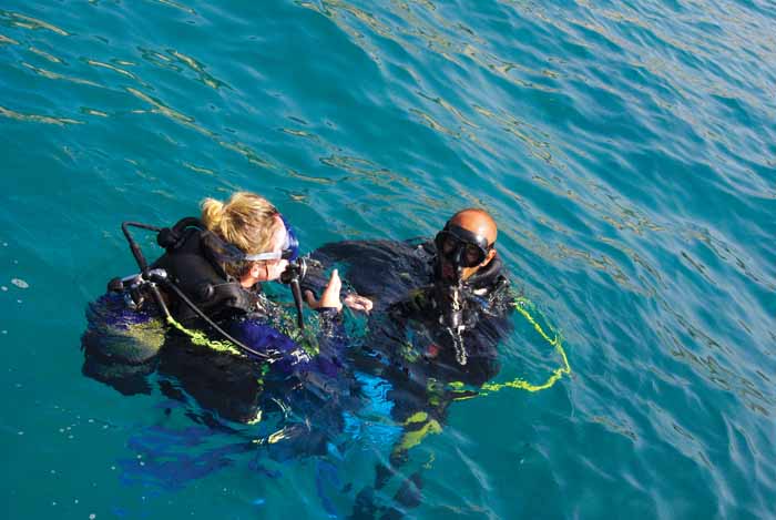 . . . a los novatos al ambiente submarino