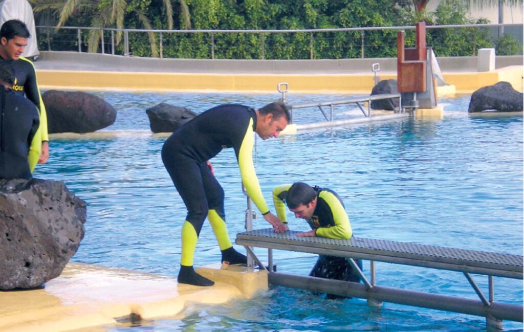 El último obstáculo: la rejilla metálica frente al estanque de descanso de las orcas