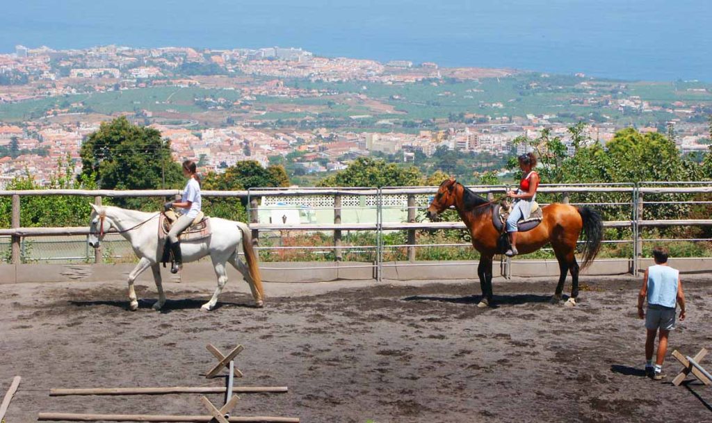 En la Finca Verde se enseñan las técnicas de equitación 