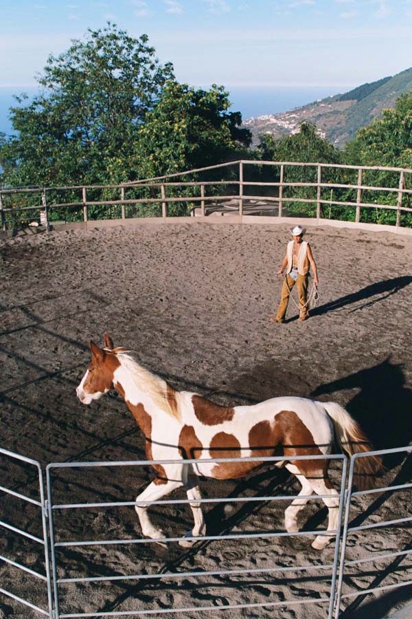 El trabajo en el Round Pen