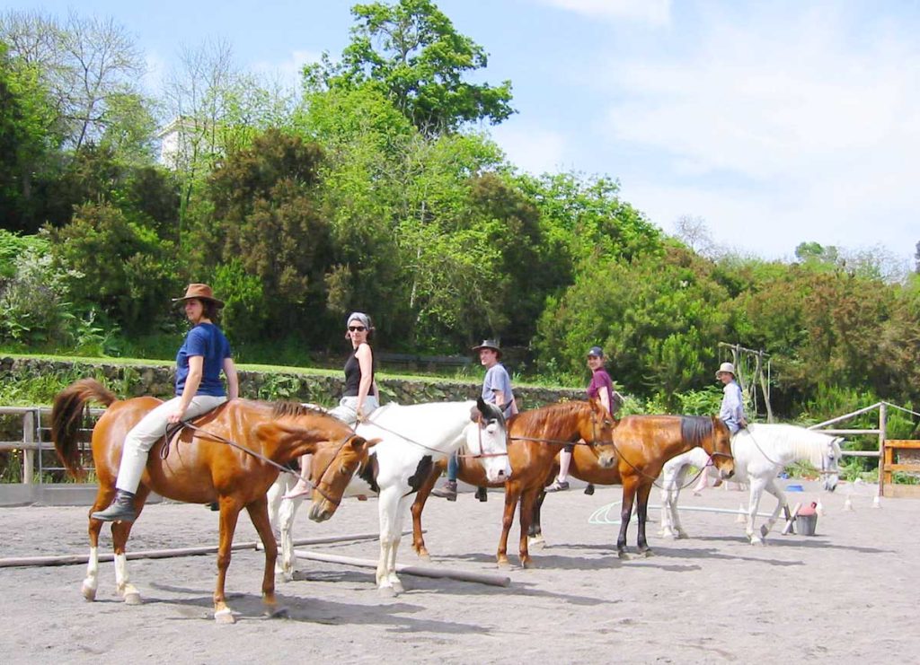 Los alumnos practican ejercicios para mejorar la sintonía con el caballo 