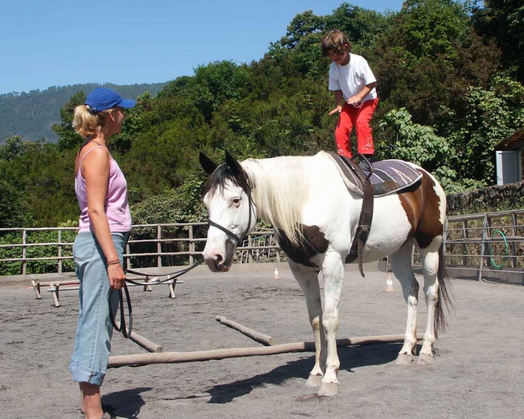 Los niños deben acostumbrarse al caballo antes de montarlo