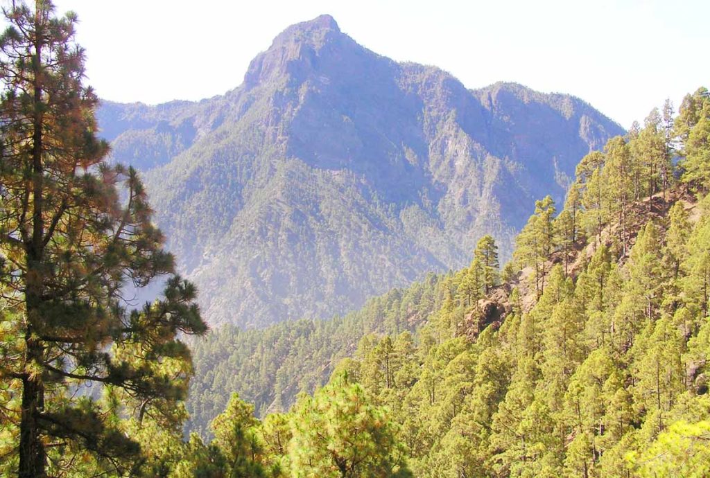 Vistas al barranco desde el punto de salida