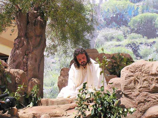 Antes de la última cena Jesús recoge fuerza 