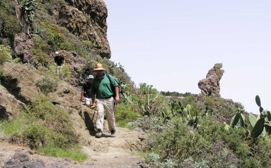 La excursión pasa por un paisaje marcado por plantas suculentas 