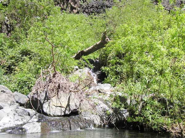 Hay aguas en el Barranco del Infierno