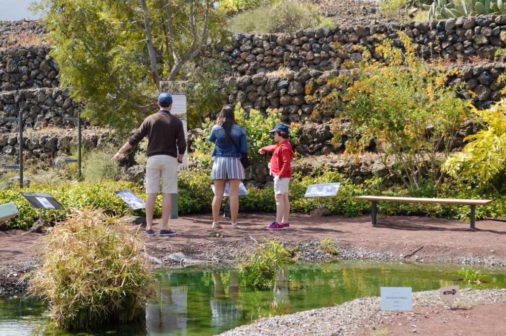 El "Jardín Venenoso" muestra asombrosas facetas de la humanidad