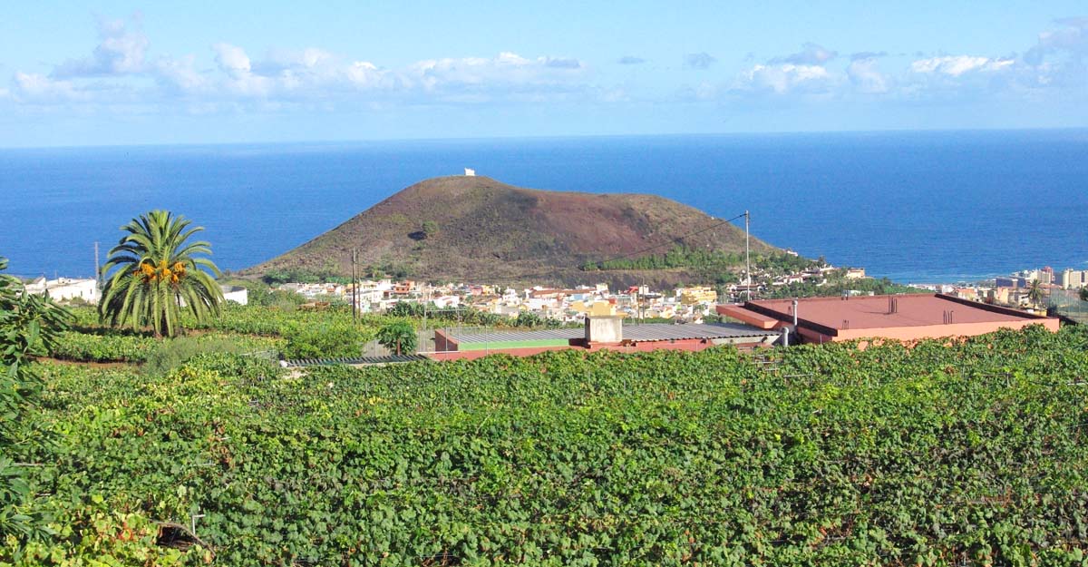 Vistas del Balcón del Valle hacia la costa