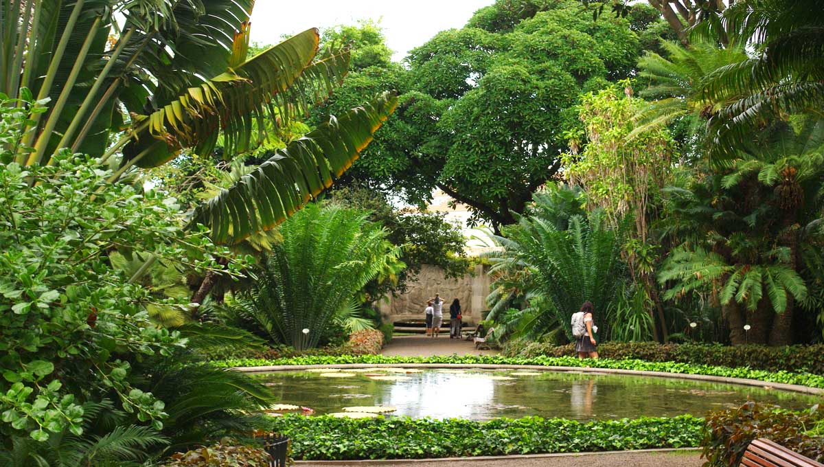 El Jardín Botánico del Puerto de la Cruz conserva una gran diversidad de plantas