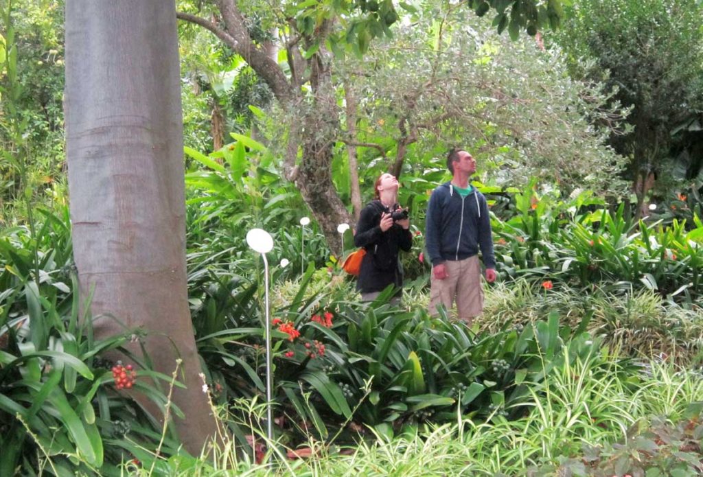 El jardín botánico ofrece increíbles perspectivas al mundo floral