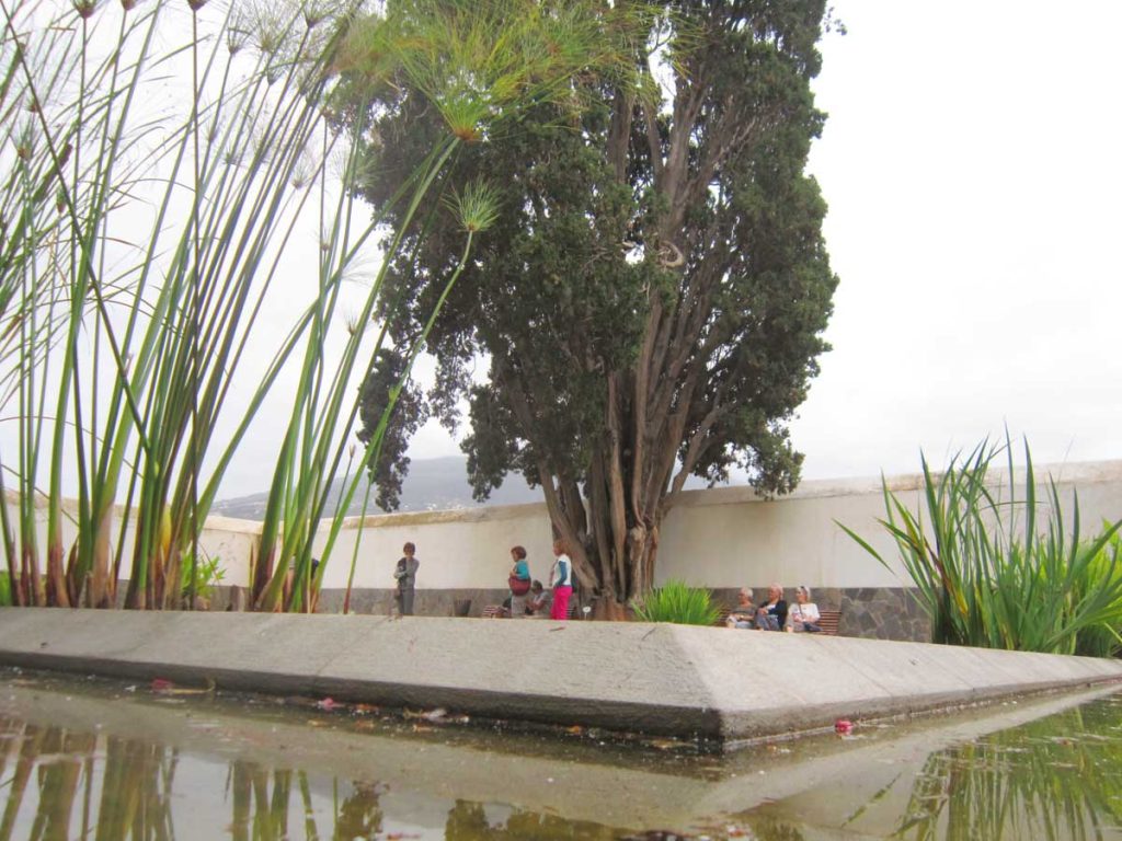 En varios rincones del parque pequeños estanques y bancos invitan a descansar