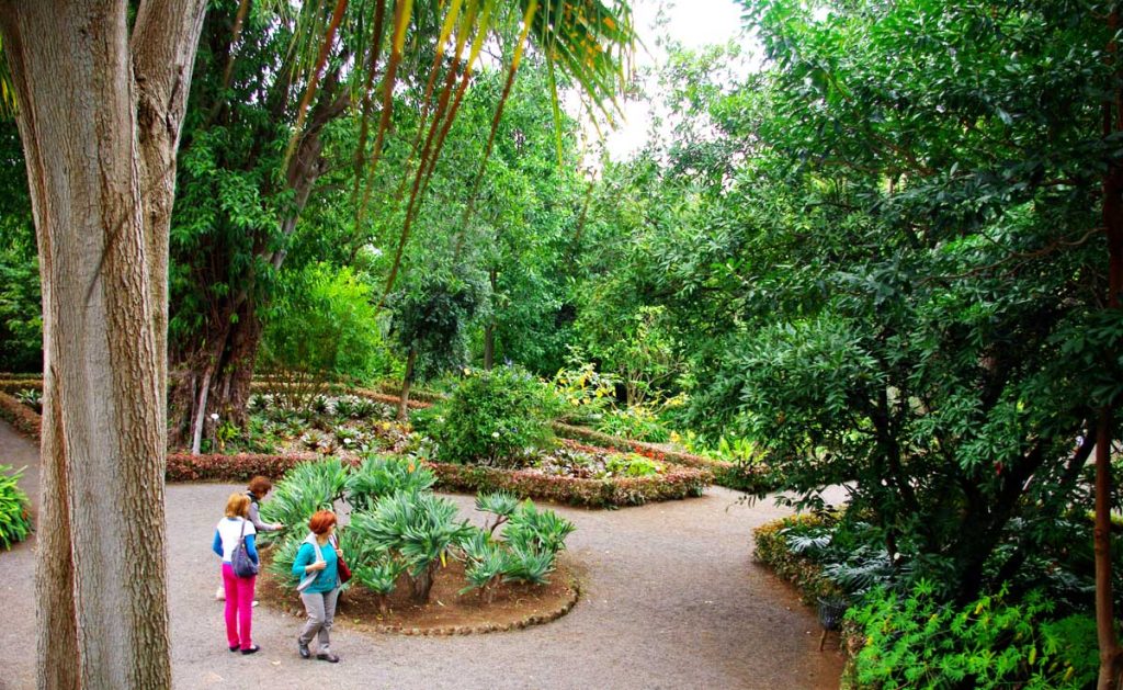 El Jardín Botánico invita a excursiones que encantan